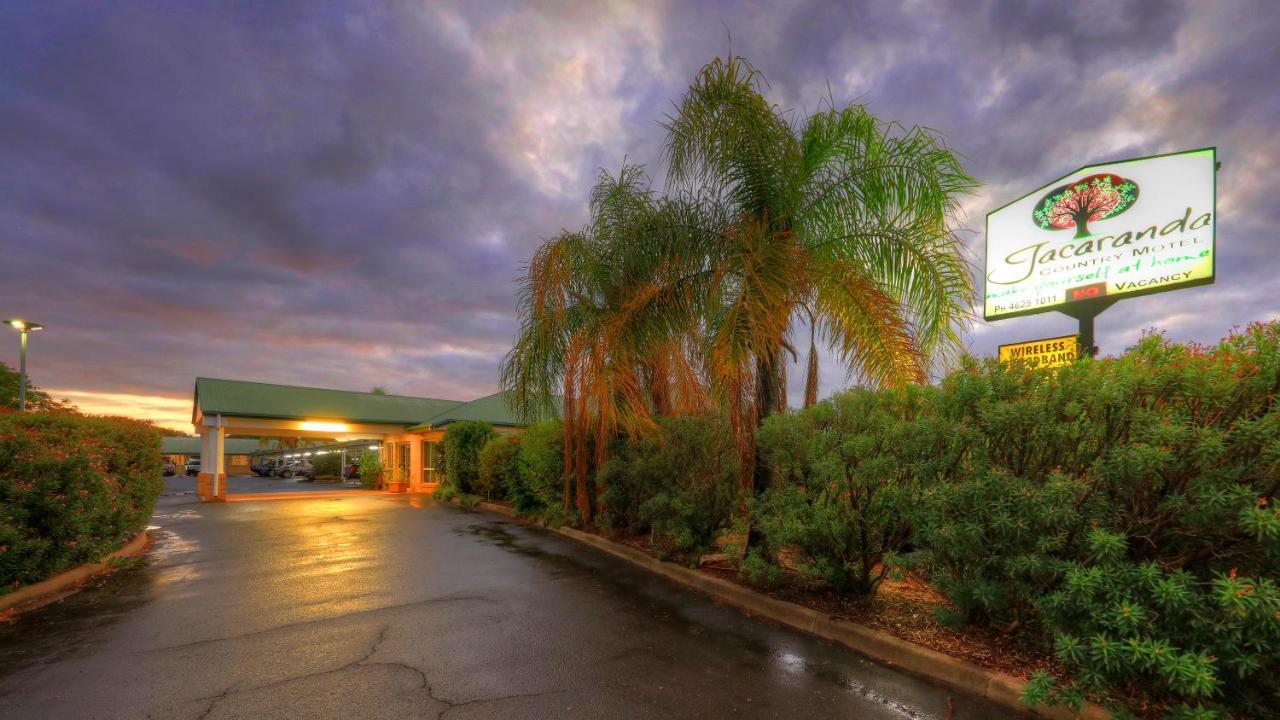 Jacaranda Country Motel Saint George Esterno foto