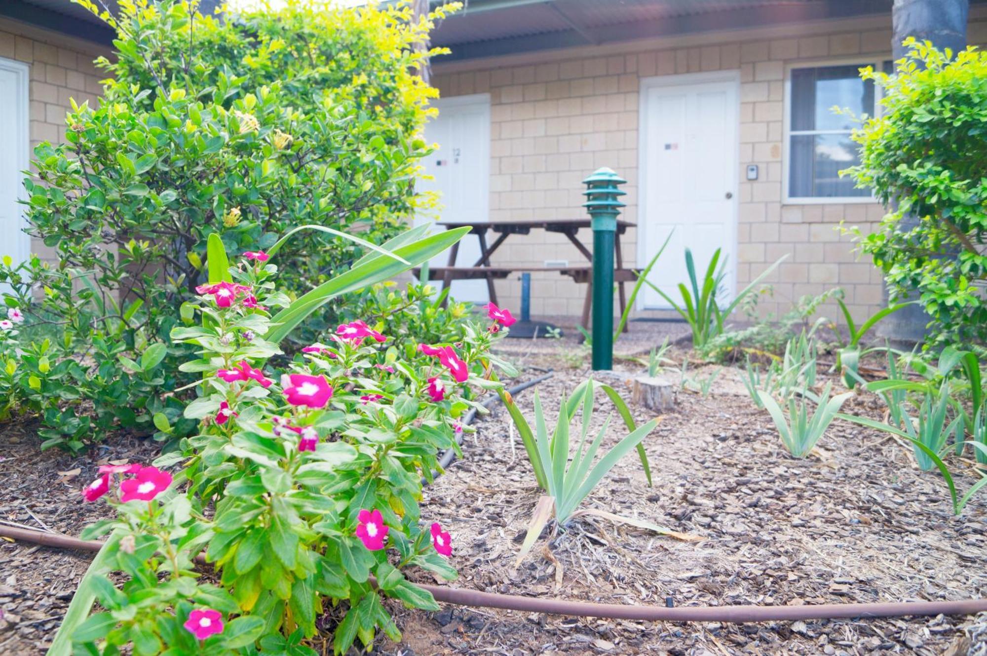 Jacaranda Country Motel Saint George Esterno foto